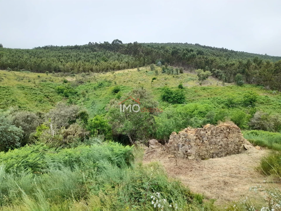 Quinta T0 para Venda em Alegrete Foto 25