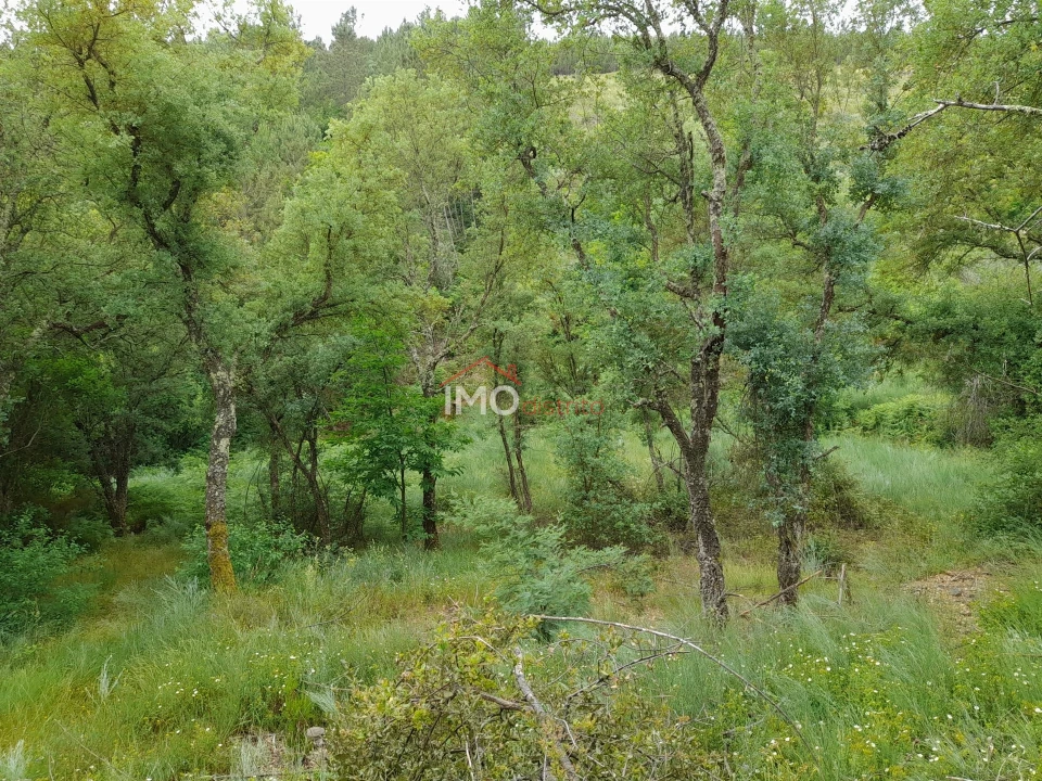 Quinta T0 para Venda em Alegrete Foto 37