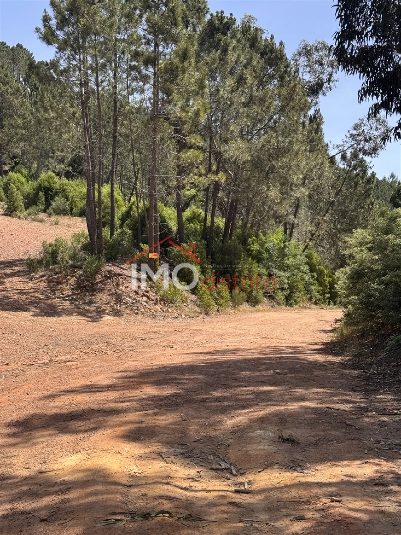 Quinta T0 para Venda em Alegrete Foto 45