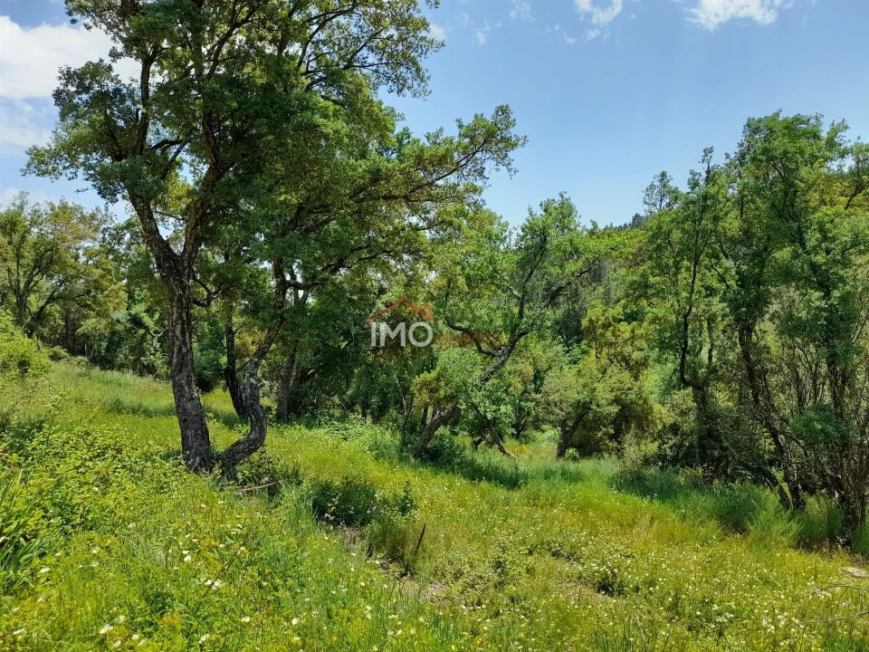 Quinta T0 para Venda em Alegrete Foto 11