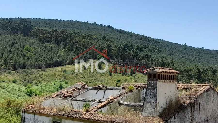 Quinta T0 para Venda em Alegrete