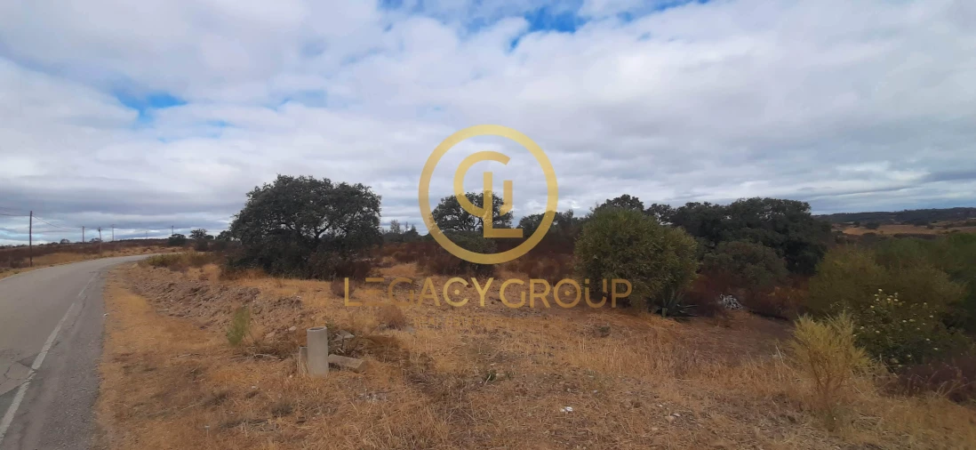 Terreno para Venda em Azinhal Foto 6