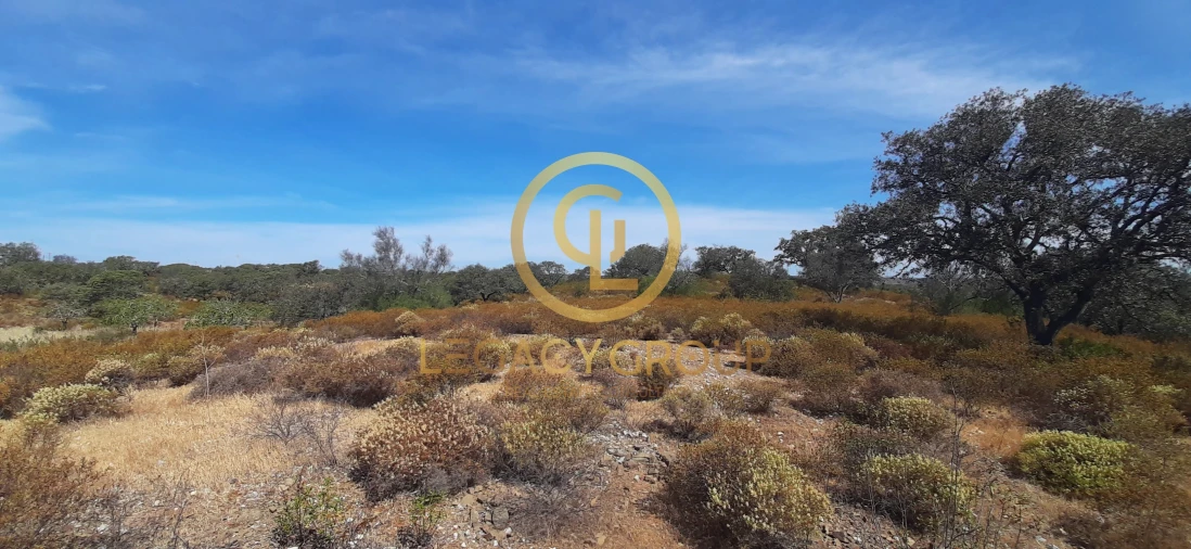 Terreno para Venda em Azinhal Foto 14