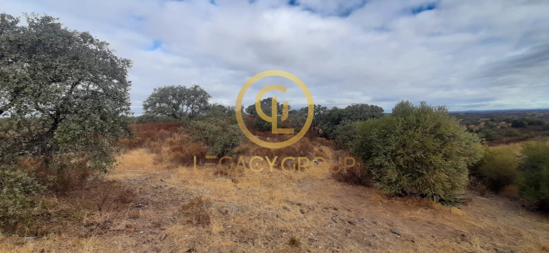 Terreno para Venda em Azinhal Foto 9