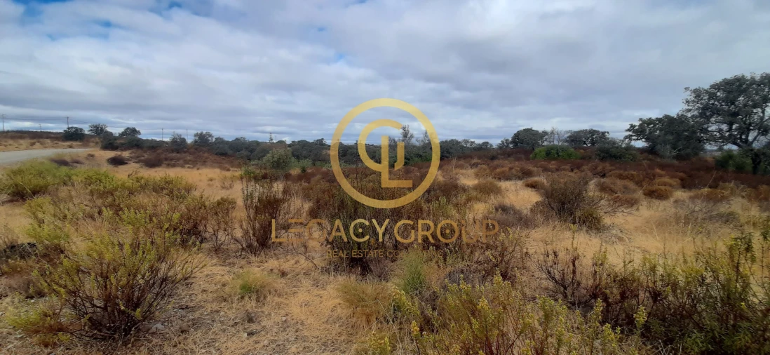 Terreno para Venda em Azinhal Foto 7