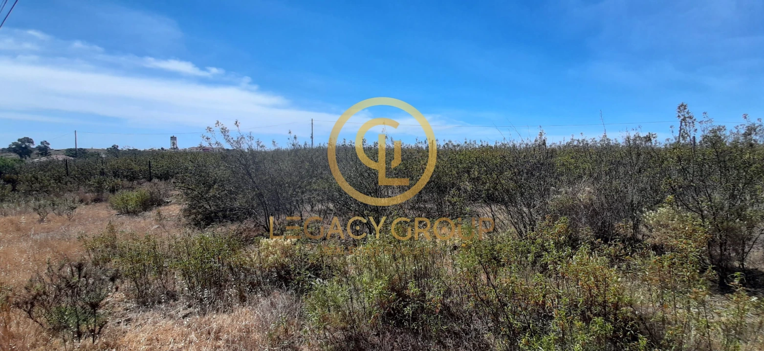 Terreno para Venda em Azinhal Foto 15