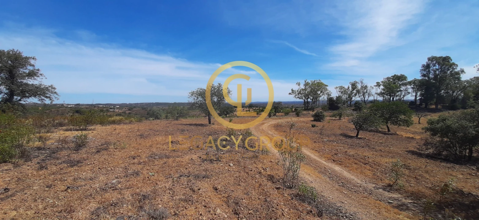 Terreno para Venda em Azinhal Foto 3