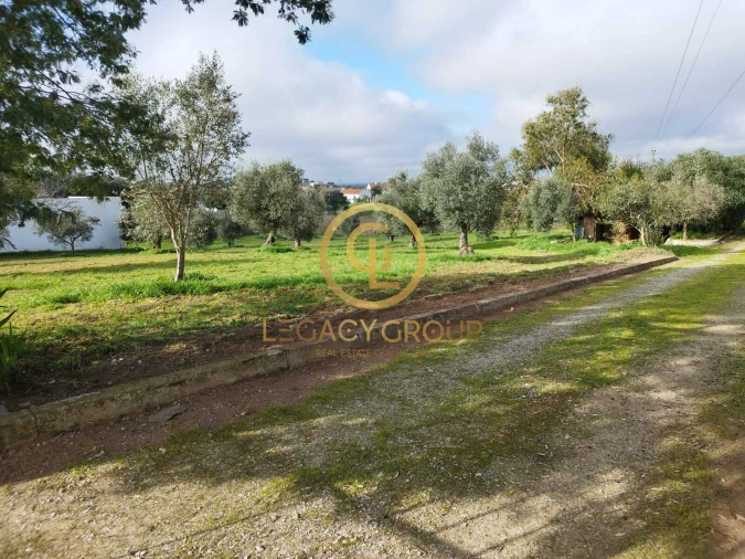 Quinta T3 para Venda em Redondo Foto 4