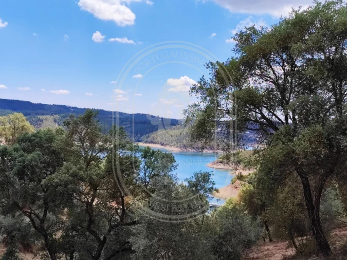 Terreno para Venda em Serra e Junceira Foto 10