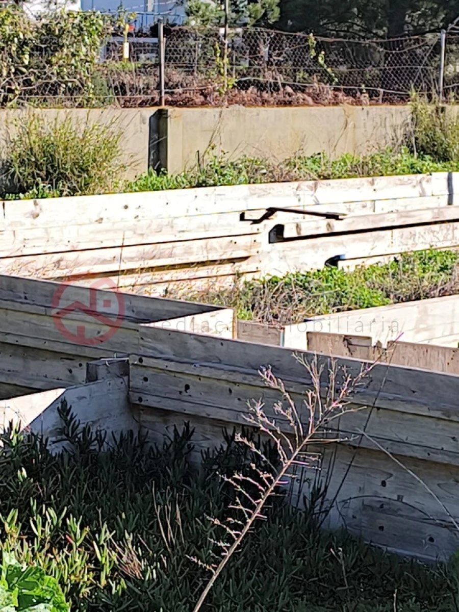 Terreno para Venda em Fernao Ferro Foto 3