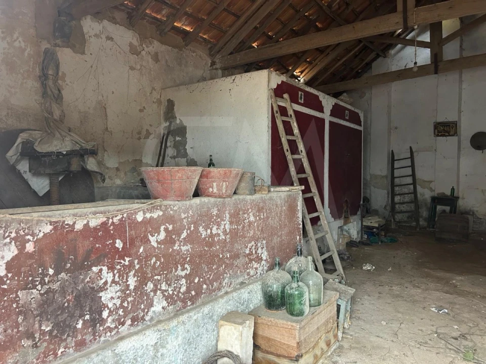 Moradia T3 para Venda em Olhalvo Foto 3