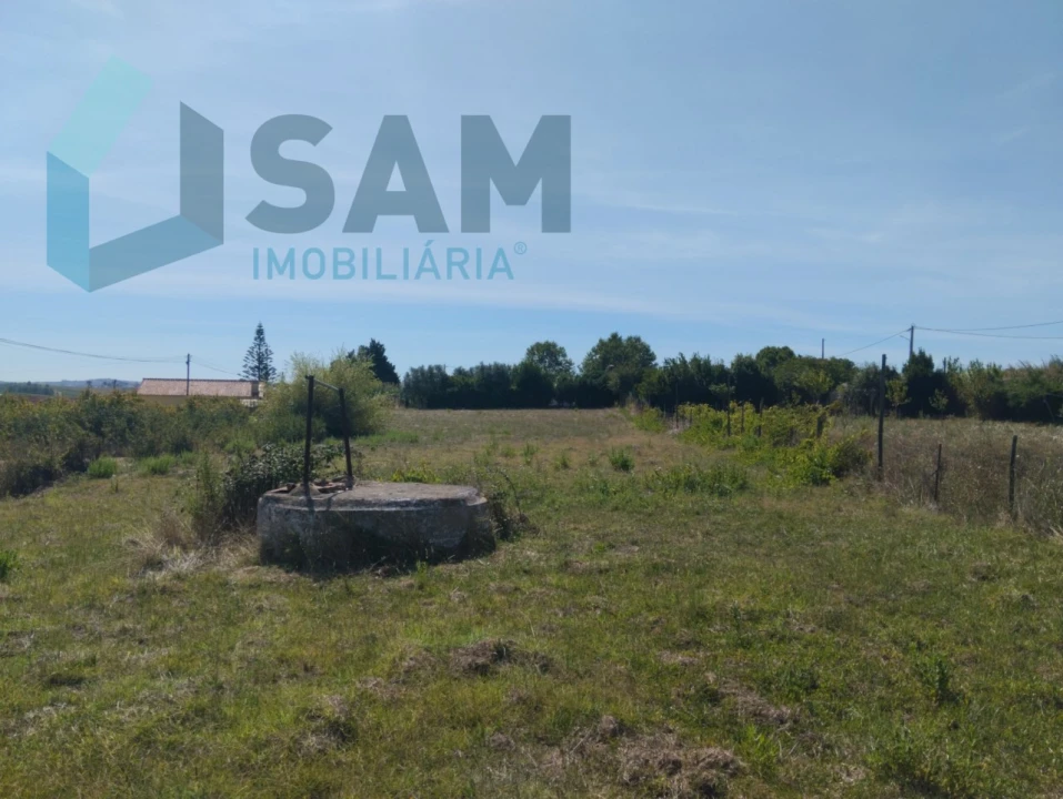 Terreno para Venda em Carvoeira e Carmões Foto 3