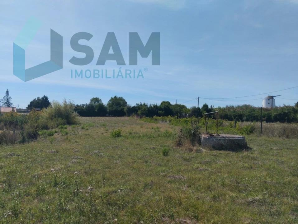 Terreno para Venda em Carvoeira e Carmões Foto 7
