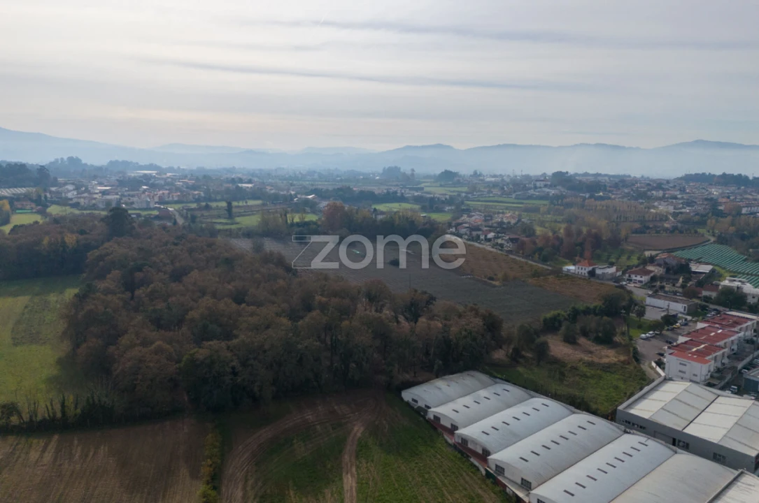 Terreno para Venda em Palmeira Foto 7