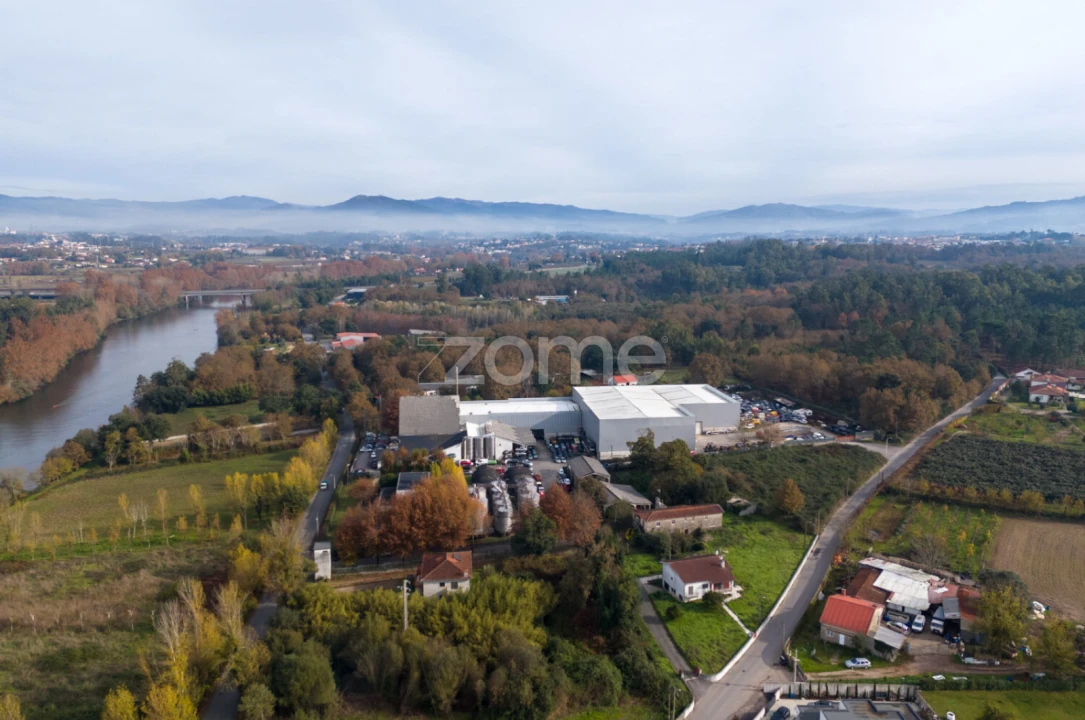 Terreno para Venda em Palmeira Foto 9