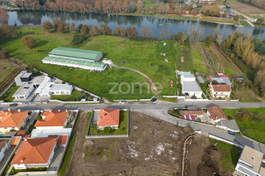 Terreno para Venda em Palmeira Foto 14