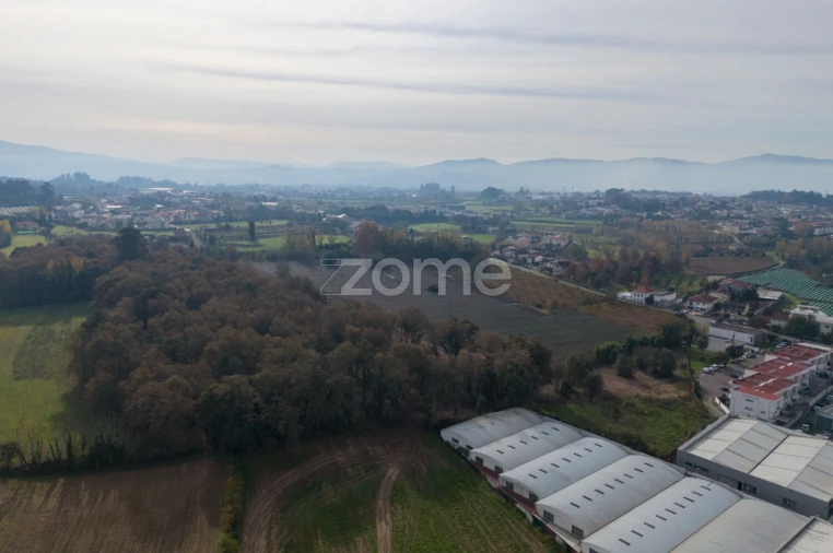 Terreno para Venda em Palmeira Foto 7