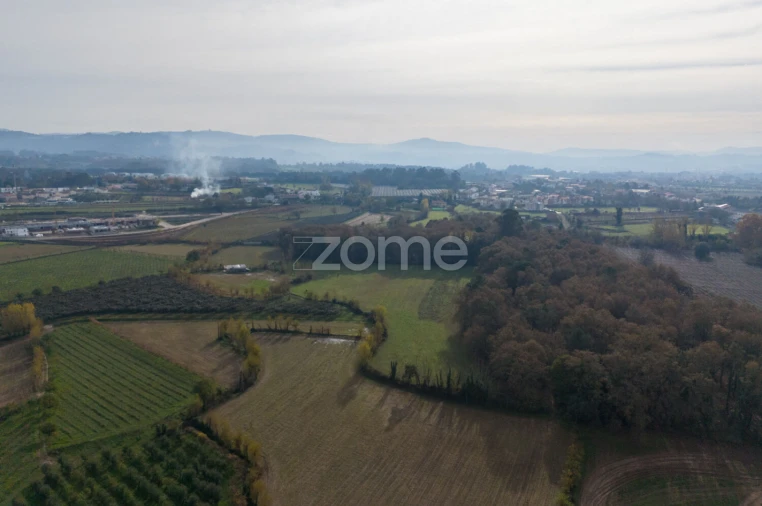 Terreno para Venda em Palmeira Foto 8