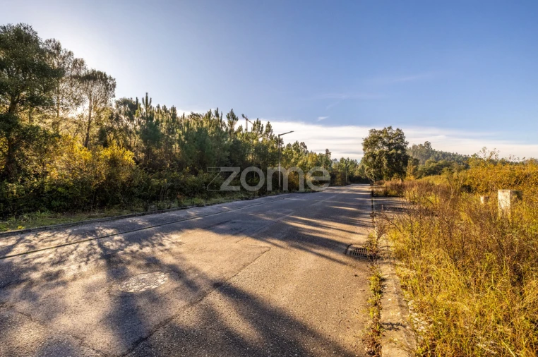 Terreno para Venda em Pombal Foto 3