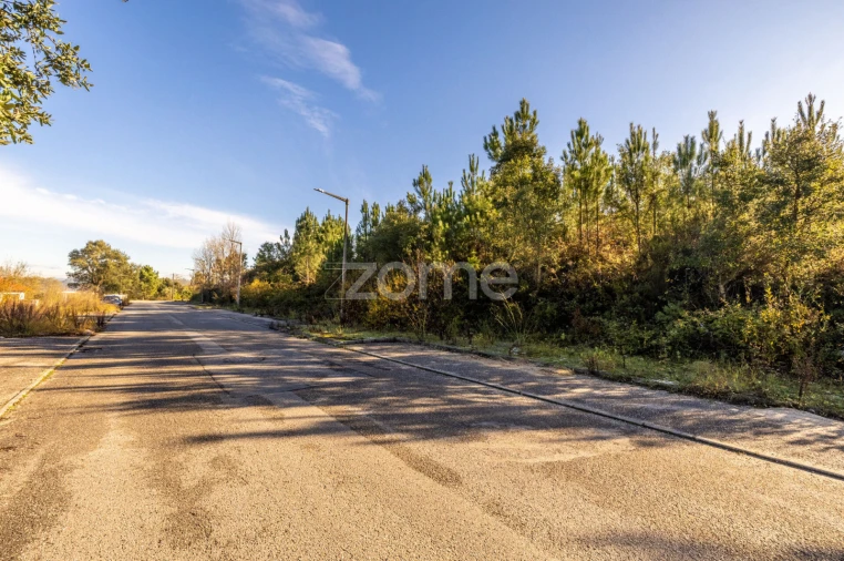 Terreno para Venda em Pombal Foto 4