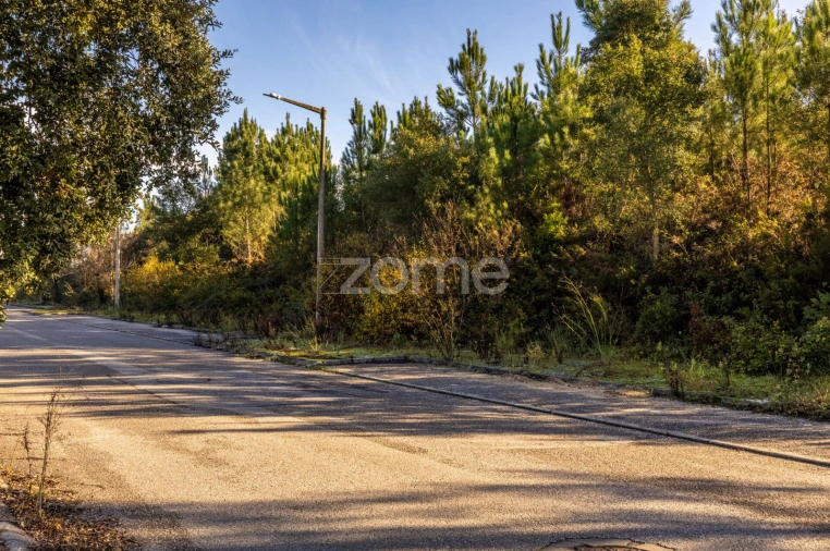 Terreno para Venda em Pombal Foto 5