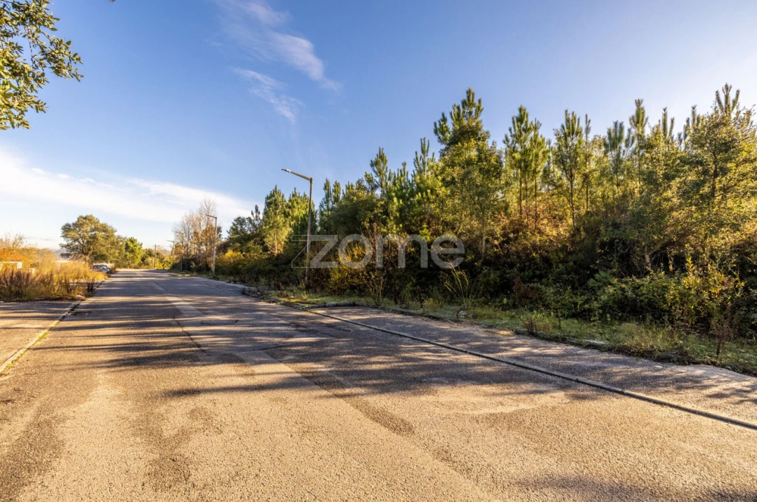 Terreno para Venda em Pombal Foto 4