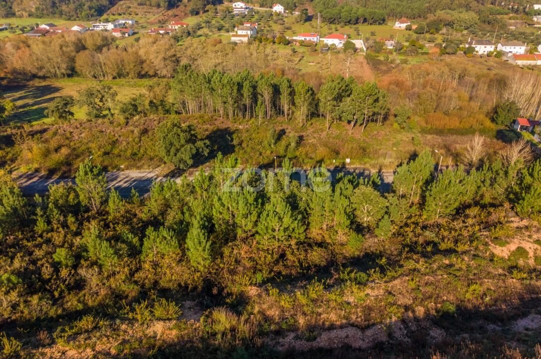 Terreno para Venda em Pombal Foto 9