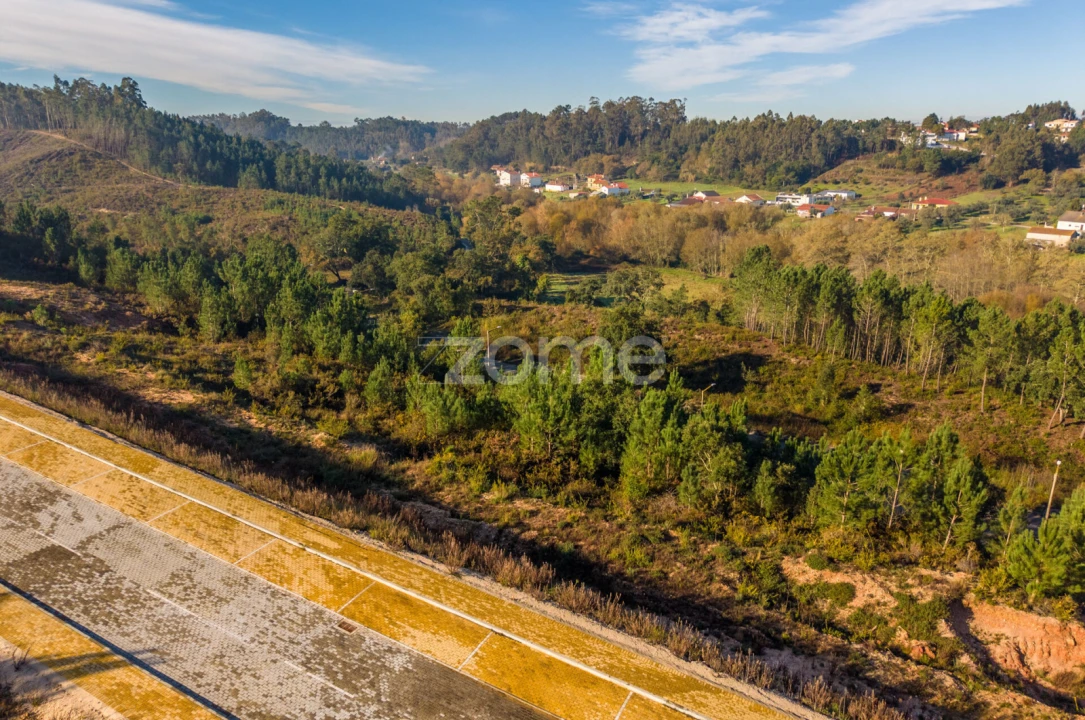 Terreno para Venda em Pombal Foto 13