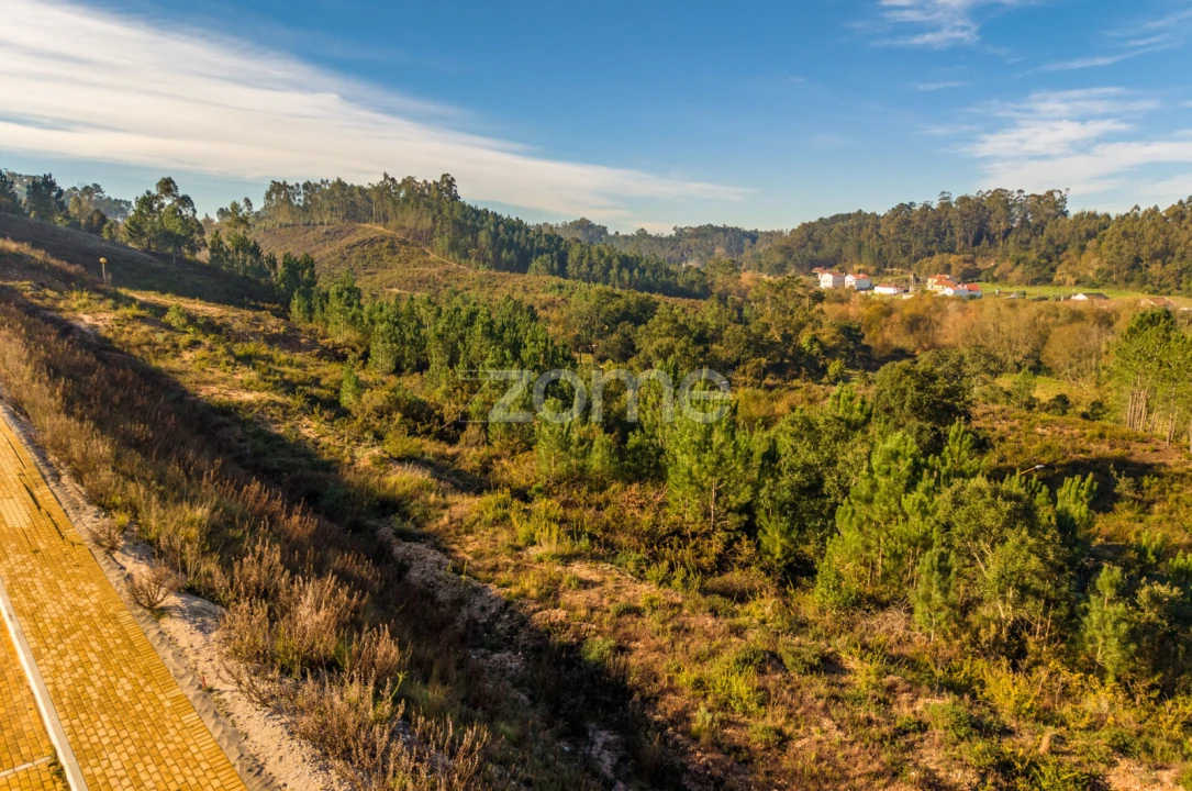 Terreno para Venda em Pombal Foto 14