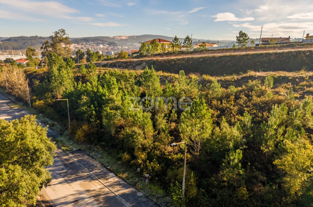 Terreno para Venda em Pombal Foto 16