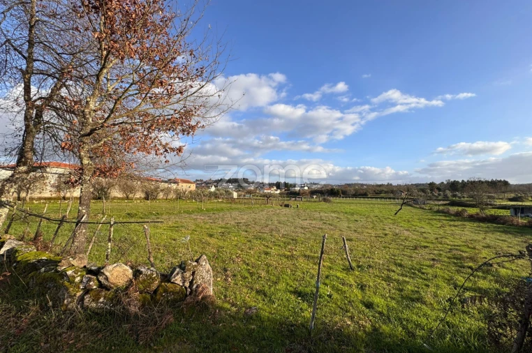 Terreno para Venda em Cunha Baixa Foto 6