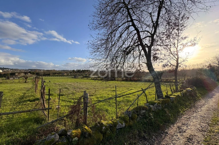 Terreno para Venda em Cunha Baixa Foto 7