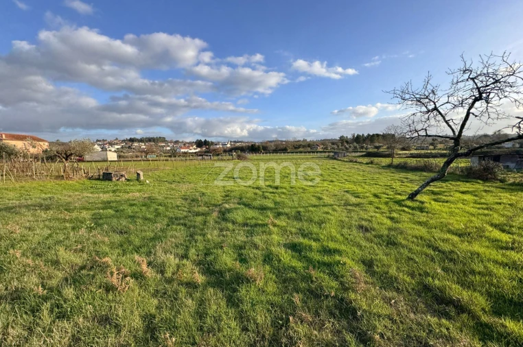 Terreno para Venda em Cunha Baixa Foto 8