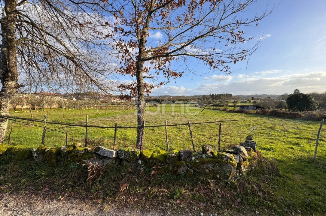 Terreno para Venda em Cunha Baixa Foto 2