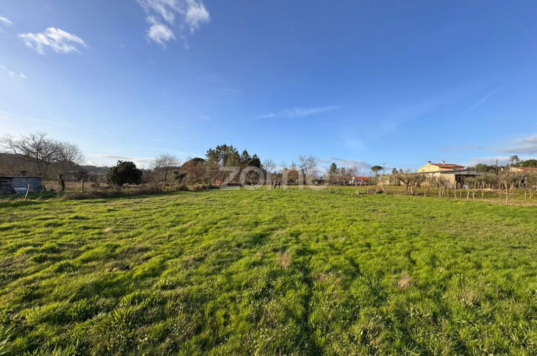 Terreno para Venda em Cunha Baixa Foto 1