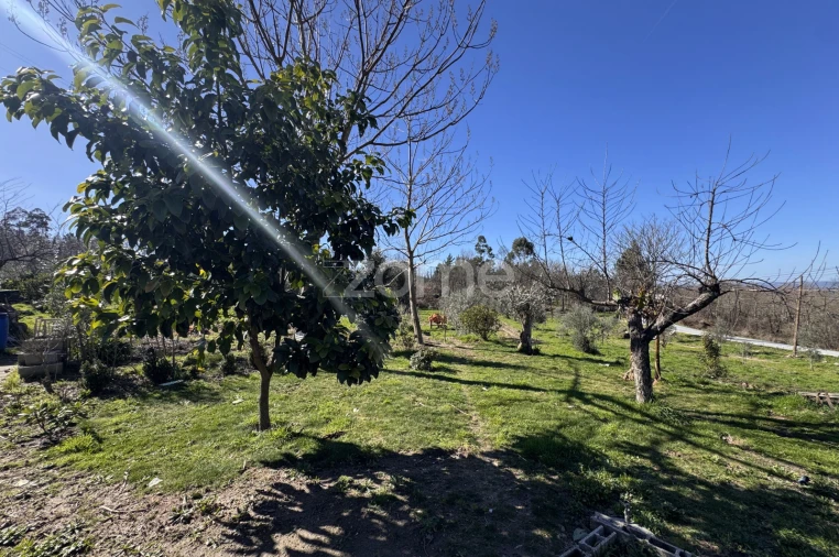 Moradia T4 para Venda em Mangualde, Mesquitela e Cunha Alta Foto 23