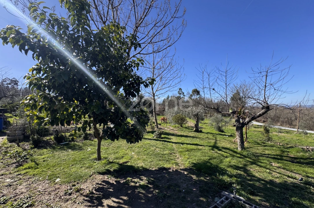 Moradia T4 para Venda em Mangualde, Mesquitela e Cunha Alta Foto 23