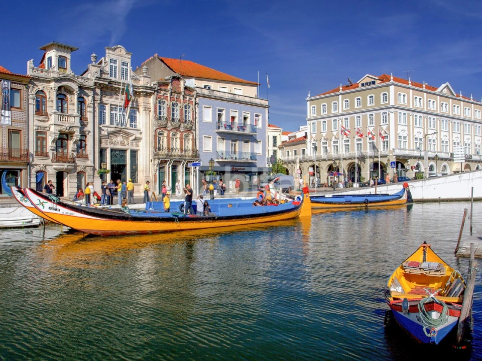 Moradia T4 para Venda em Glória e Vera Cruz Foto 11