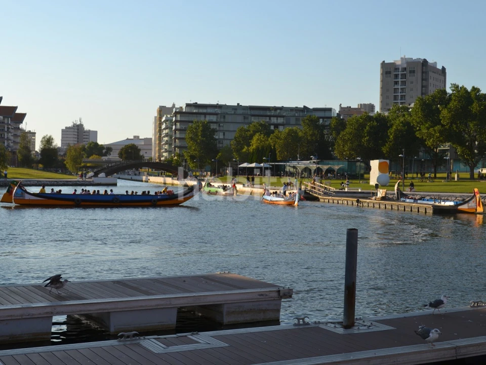 Moradia T4 para Venda em Glória e Vera Cruz Foto 15