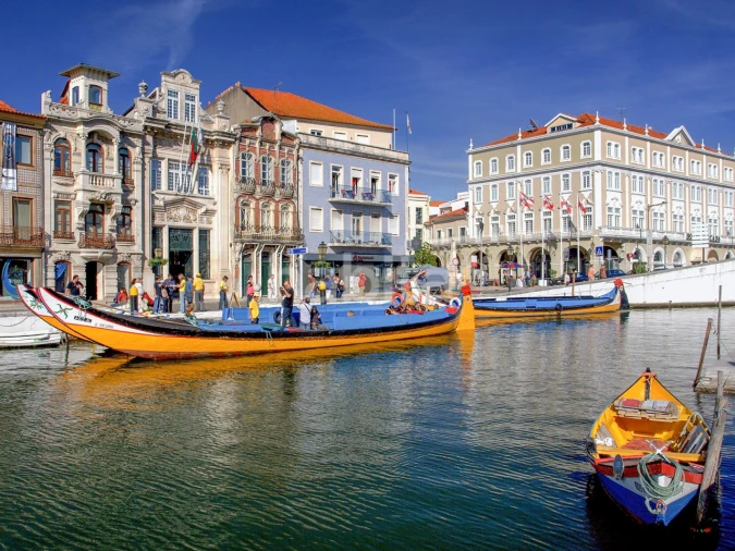 Moradia T4 para Venda em Glória e Vera Cruz Foto 11