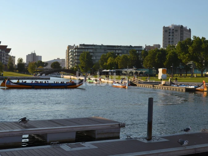 Moradia T4 para Venda em Glória e Vera Cruz Foto 15