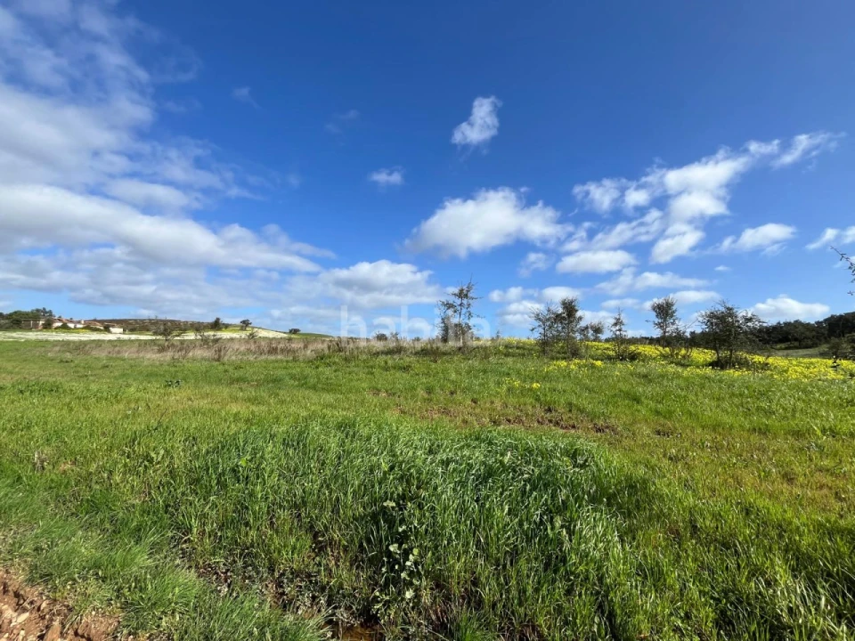 Terreno Agricola ou Rústico para Venda em São Domingos e Vale de Água Foto 6