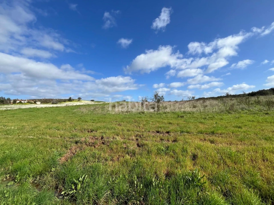 Terreno Agricola ou Rústico para Venda em São Domingos e Vale de Água Foto 8