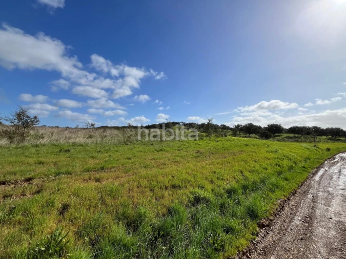 Terreno Agricola ou Rústico para Venda em São Domingos e Vale de Água Foto 7