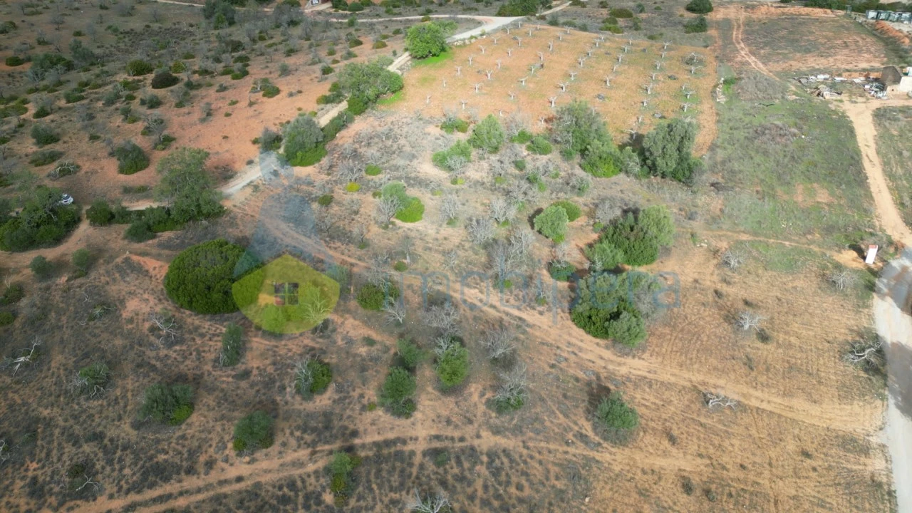 Terreno Agricola ou Rústico para Venda em Guia Foto 3