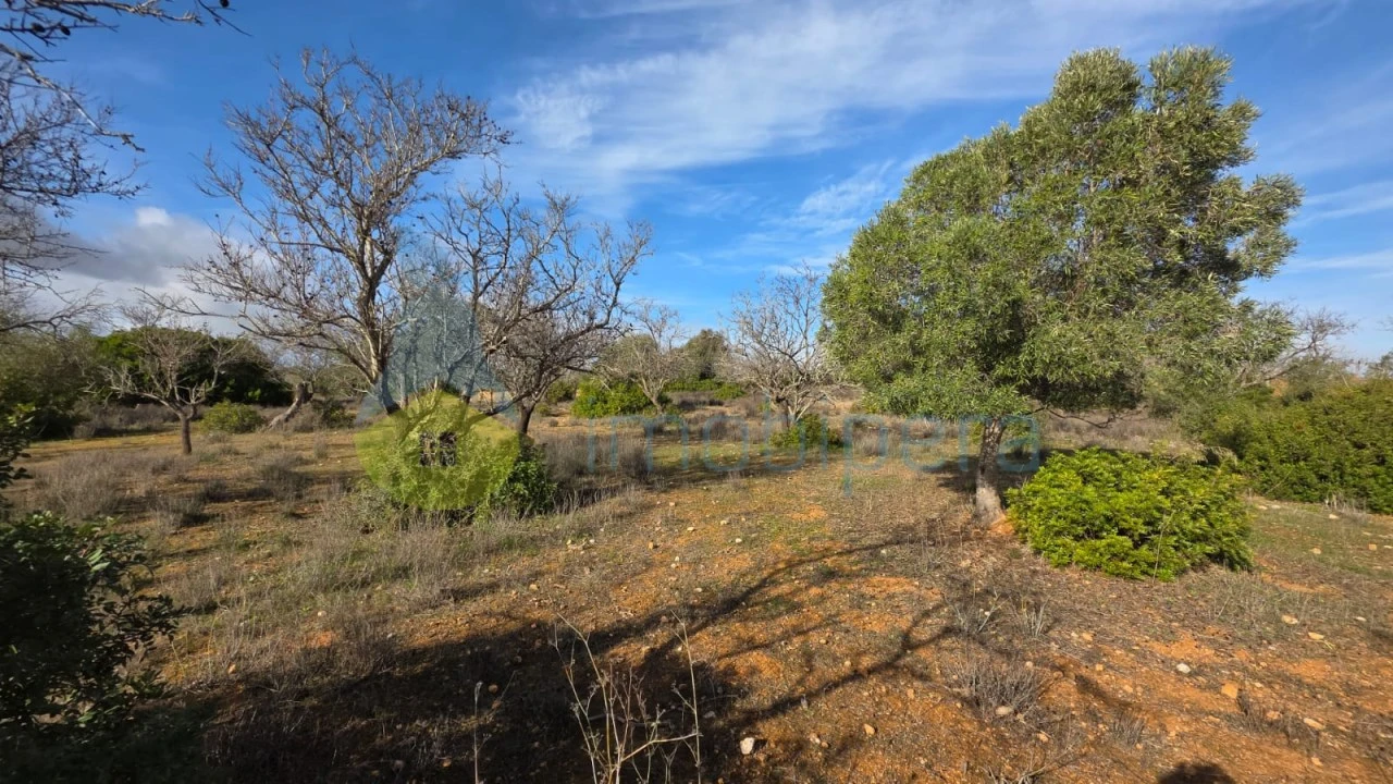 Terreno Agricola ou Rústico para Venda em Guia Foto 7