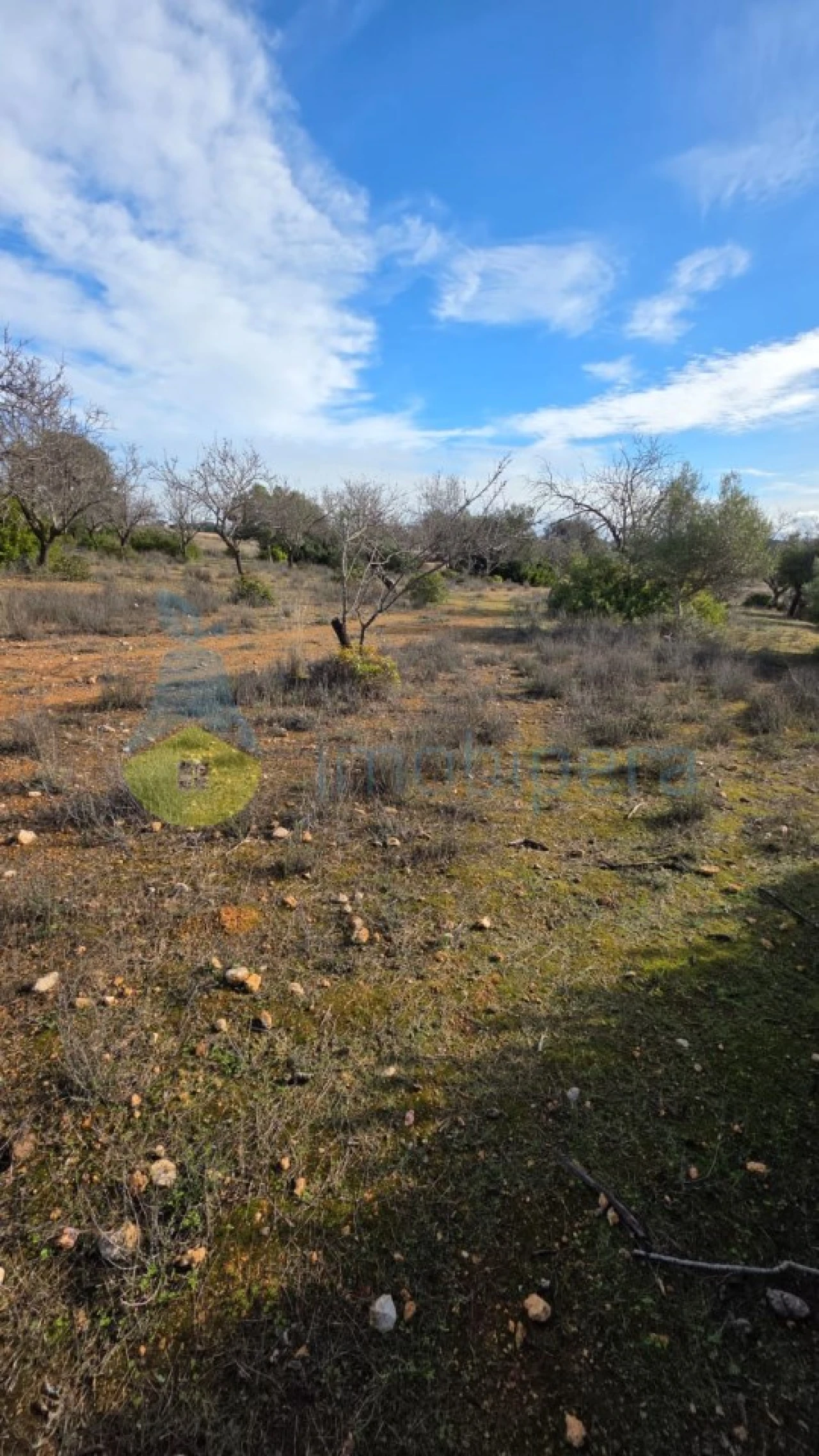 Terreno Agricola ou Rústico para Venda em Guia Foto 9