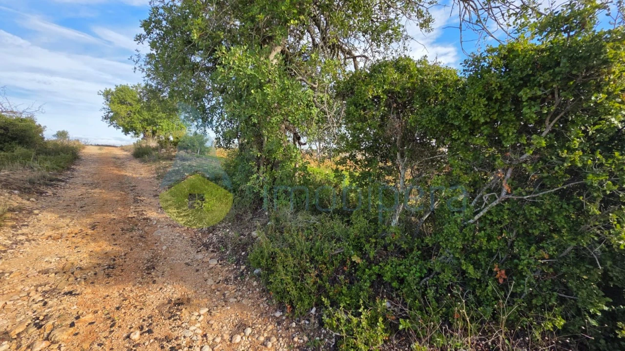 Terreno Agricola ou Rústico para Venda em Guia Foto 11