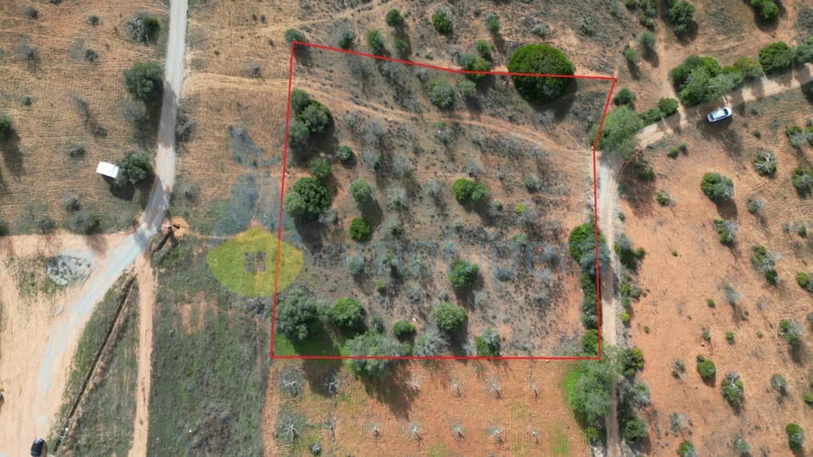 Terreno Agricola ou Rústico para Venda em Guia Foto 1