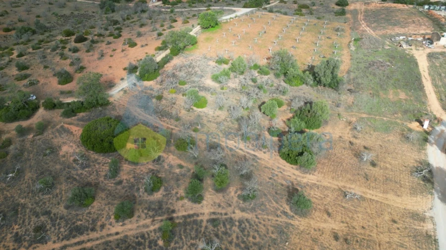 Terreno Agricola ou Rústico para Venda em Guia Foto 3